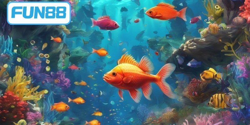 Áp dụng chiến thuật săn cá để thắng lớn